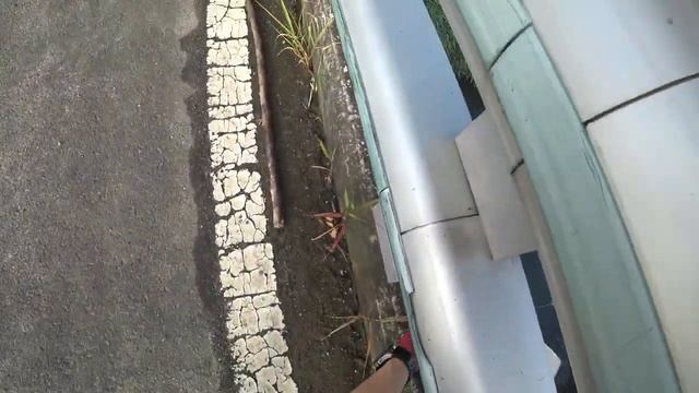 Охота с рогаткой в жаркий день смотреть онлайн