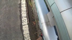 Охота с рогаткой в жаркий день