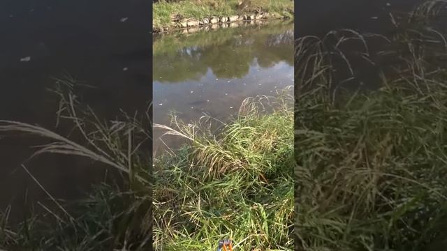 @slingshotfishing смотреть онлайн