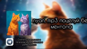 nyan. mp3 поцелуй без ментола