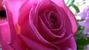 Отличные русские хиты музыки и фото 2015 года