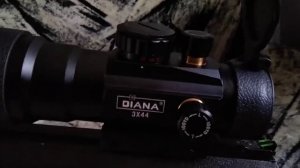 Red dot Diana 3x44