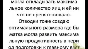 Как разводить пчёл видео