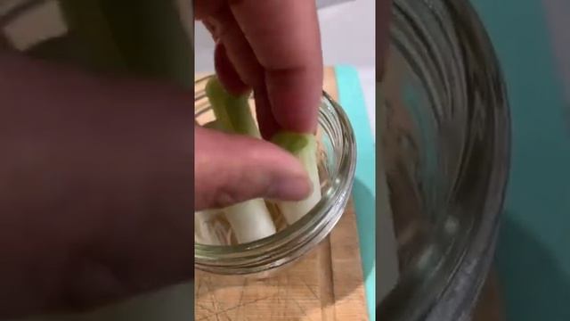 Grew like this in JUST WATER in 2 weeks 💁🏽♀️ смотреть онлайн