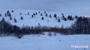 Arctic CAT M 800 SNO PRO 153 покатушки