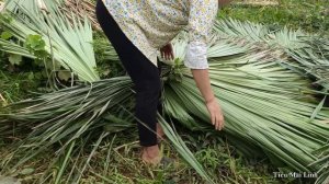 Life of a 18-Year-Old Single Mother - Complete The Bamboo House Roof with Child & Take Care of Chil