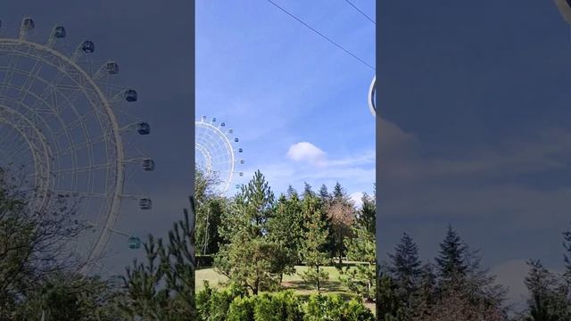 Наконец-то прокатились на ВДНХ #солнцемосквы #вднх#moscow смотреть онлайн