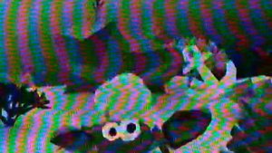 Фрагмент эфира (Карусель, осень 2014) 3