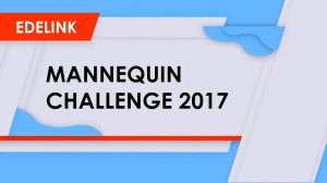 Edelink mannequin challenge  2017