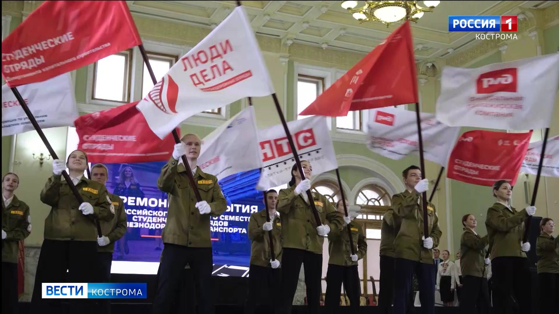 Небывалое количество студенческих отрядов создано в Костромской области