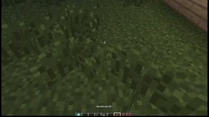 Я ПОСТРОИЛ СОБСТВЕННУЮ ДЕРЕВНЮ LEMONAEDA. LEMONAED МАЙНКРАФТ