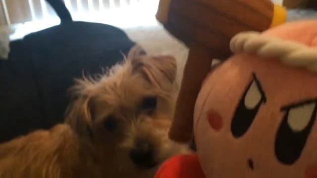 King Dedede Plays Team Fortress 2 Part 3 смотреть онлайн