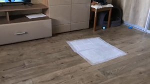 Интерактивный мячик для кошек и собак