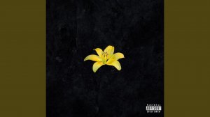 Жёлтые Лилии