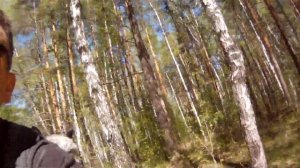 Со Снуппи в берёзках