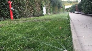 Hunter, MP Rotator, Side Strip, Spray Sprinkler