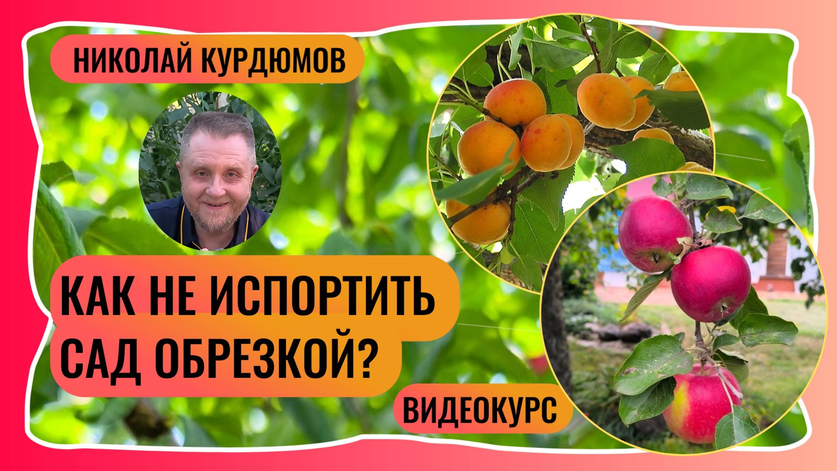 Обрезка в саду. Чего точно не нужно делать! Обзор курса.