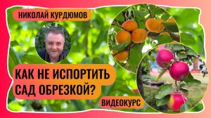 Обрезка в саду. Чего точно не нужно делать! Обзор курса.