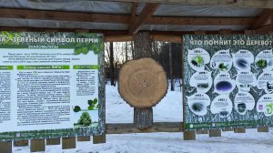 Морозным солнечным днём на Липовку. Последние дни календарной осени. 28 ноября 2024