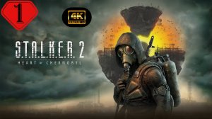 Туда и обратно.Прохождение Stalker 2:Heart of Chernobyl(4K).#Часть1.