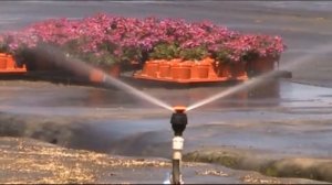 Спринклер MegaNet видео работы 2 (пр-во "Netafim", Израиль)