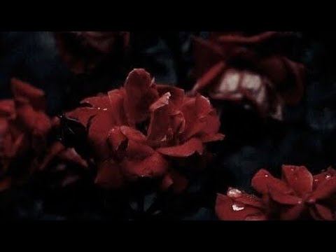 Саблиминал на подсознание и быстрые результаты 🌹