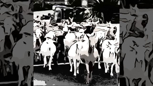 Про нормальных и козлов... смотреть онлайн