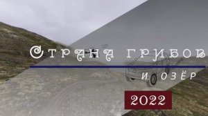 Страна грибов 2022