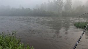 Река Мана, отдых с рыбалкой. Семейный сплав. Попали в самую мутную воду.