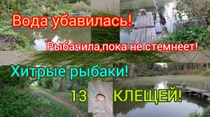 15.09.2023 #2 Ленивый стал!🦫На👩🦽больше не каталась!🙂Пора домой!😔Я не вкусная!🤭Раскидали пни!🪵