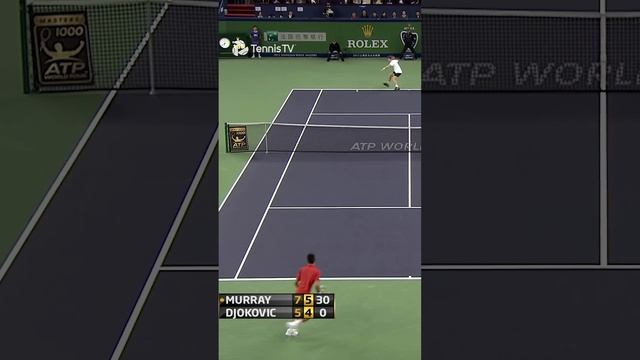 Murray  Djokovic