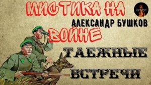 Мистика на Войне. ТАЕЖНЫЕ ВСТРЕЧИ (Пограничники столкнулись с непознанным.)