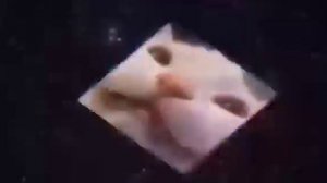 кот в космосе фортнайт или Бабаджи