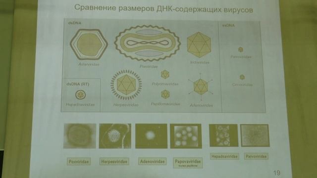 Карпова О. В. - Вирусология - 1. Введение в предмет вирусологии смотреть онлайн