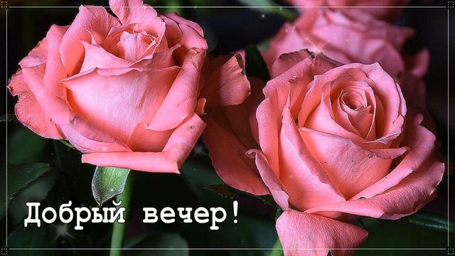 КРАСИВЫЕ ПЕСНИ ОБО ВСЁМ...ДОБРЫЙ ВЕЧЕР! смотреть онлайн