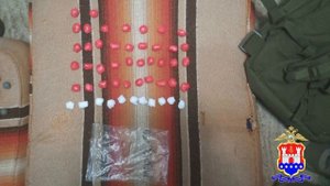 В Калининграде наркополицейские совместно с сотрудниками ППСП задержали кладмена