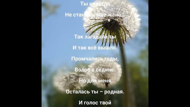 "Моя любовь" Эдуард Шнайдер смотреть онлайн