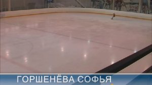 Софья Горшенева Произвольная