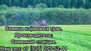 Семена кормовых трав