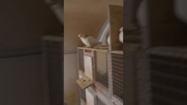 26 ноября 2020 г. смотреть онлайн