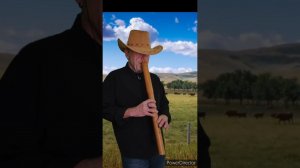 Дом восходящего солнца