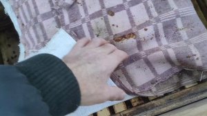 пошел пятый месяц зимовки. есть проблемки.