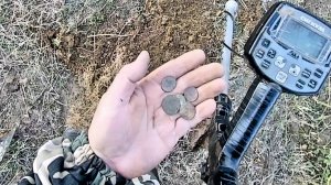 Колхозные поля, порадовали....