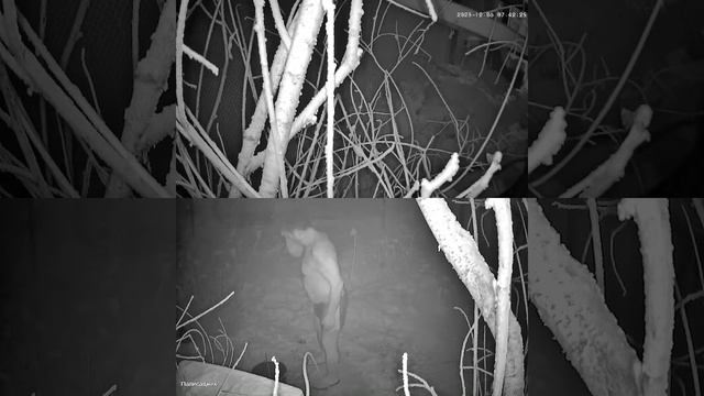 6 декабря 2023 г. смотреть онлайн