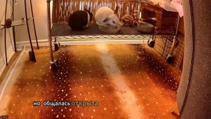 Терпеть не могу - Мир рассказов