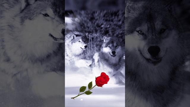 12 ноября 2023 г. смотреть онлайн