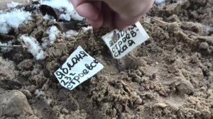 19-28 11 24г дачные дела, кофейный жмых-использование