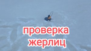 проверка жерлиц