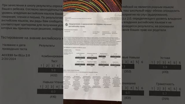 Письмо из Американской школы. У меня - одаренный ребёнок??  #жизньвамерике