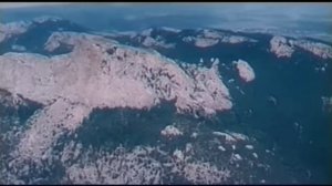 Приказано взять живым (1983) car chase scene